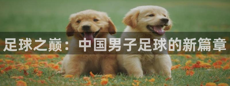 必威betway西汉姆联