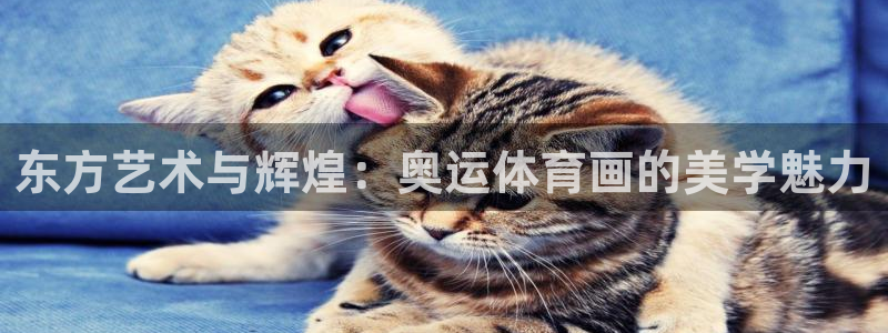 betway西汉姆联官网