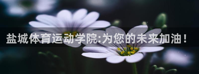 必威betway西汉姆联
