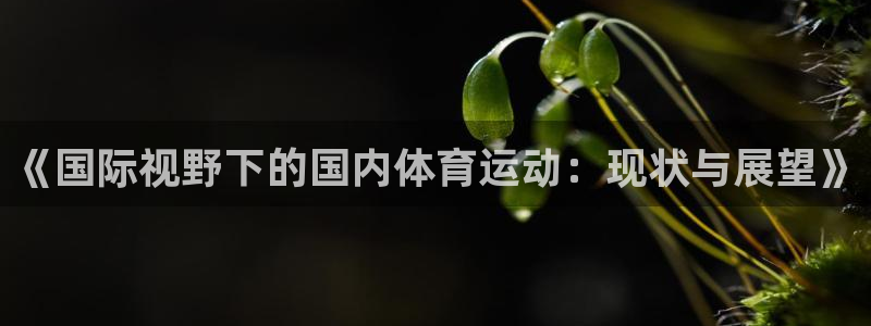 betway西汉姆