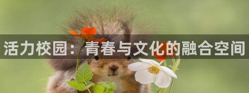必威betway西汉姆联